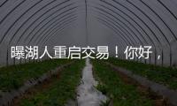 曝湖人重启交易！你好
，维金斯！NBA争冠球队新宠儿