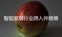 智能家居行业跨入井喷爆发期
，TCL智能门锁抢夺先机