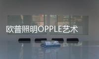 欧普照明OPPLE艺术开关 打造优质时尚的电工品牌