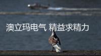 澳立玛电气 精益求精力创行业典范