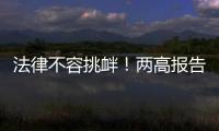 法律不容挑衅！两高报告点名辣笔小球、纸面服刑等