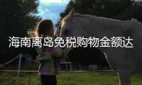 海南离岛免税购物金额达169亿元