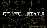 海底的宝矿	，捞还是不捞？｜世界海洋日
