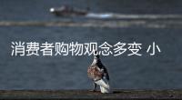 消费者购物观念多变 小家电企业需发展多样化路线