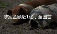 涉案金额近1亿，全国首例利用直播打赏洗钱案告破