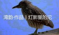 湾韵·作品丨灯影里的沱江