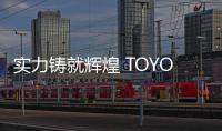 实力铸就辉煌 TOYO智能门锁荣获“全球十大智能锁品牌”