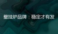 壁挂炉品牌
：稳定才有发展