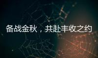 备战金秋，共赴丰收之约！潍柴WP6/WP7H收获机动力批量交付