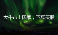 大牛市！国家，下场买股票