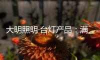 大明照明·台灯产品：满足眼 满足心 满足对美的追求
