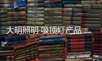 大明照明·吸顶灯产品
：领略艺术瑰丽 感受光影魅力