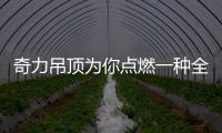 奇力吊顶为你点燃一种全新生活方式!
