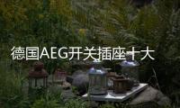 德国AEG开关插座十大品牌：经典呈现	，完美创新