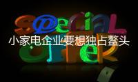小家电企业要想独占鳌头 应该做到四点