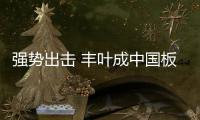 强势出击 丰叶成中国板材十大品牌新贵