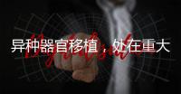 异种器官移植，处在重大突破边缘