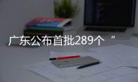 广东公布首批289个“人工智能+医疗卫生”应用场景案例