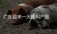 广东迎来一大波AI产品扎堆上新�：8个大模型�，30个应用场景……