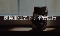 逆势重任之下，平安银行大变阵，业绩能否再提振？｜透视金融业年报①