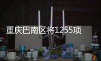 重庆巴南区将1255项行政权力和公共服务事项全部纳入网审平台