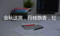 金秋送爽�
，丹桂飘香，牡丹水漆发货湖南郴州