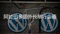 阿拉伯多国外长举行会晤 筹备阿拉伯国家紧急峰会
