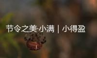 节令之美·小满｜小得盈满