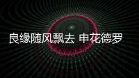 良缘随风飘去 申花德罗巴反目成仇