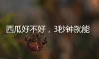 西瓜好不好，3秒钟就能验	！验瓜师有啥技巧？