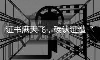 证书满天飞，碳认证遭“大扫除”