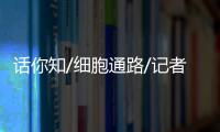 话你知/细胞通路/记者　宋伟