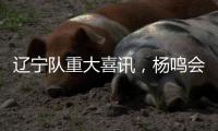 辽宁队重大喜讯，杨鸣会见美国大使，外援彻底无忧，广东队羡慕了