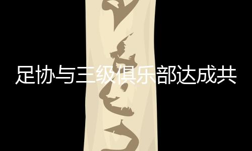 并获得国际足联支持