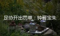 足协开出罚单：钟晋宝朱挺分别停赛5场3场