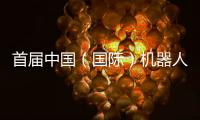 首届中国（国际）机器人辩论大赛启幕�，团队报名通道开放