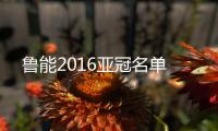 鲁能2016亚冠名单