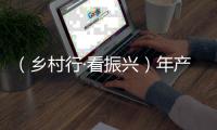 （乡村行·看振兴）年产值8000万元 广西柳江“鸟笼经济”飞起来