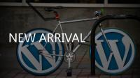 NEW ARRIVAL丨布拉诺系列缎光新品 雅致大赏
