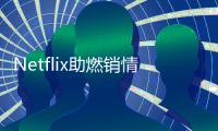 Netflix助燃销情 推定制产品