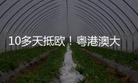 10多天抵欧！粤港澳大湾区首条中欧班列电商快线开通