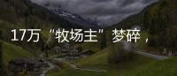 17万“牧场主”梦碎，养羊理财平台众牧宝被查