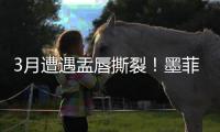 3月遭遇盂唇撕裂
！墨菲谈恢复：已进行技术训练 在等身体对抗许可