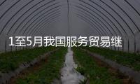 1至5月我国服务贸易继续快速增长