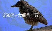 250亿+大项目�！五一邀你继续参与