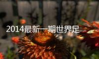 2014最新一期世界足坛教练收入榜