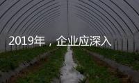 2019年，企业应深入骨髓的塑造小家电品牌