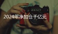 2024年净加仓千亿元
，寿险“头雁”还看好股市吗？｜透视金融业2024年年报④