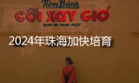 2024年珠海加快培育新质生产力�，高技术制造业增加值同比增长15％