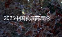 2025中国发展高层论坛
：真诚欢迎国际资本回归中国